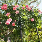 Nada With Garden, 80m From The Vakantiehuis