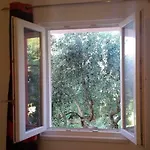 Nada With Garden, 80m From The *