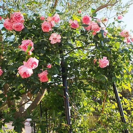 Nada With Garden, 80m From The Tatil Evi