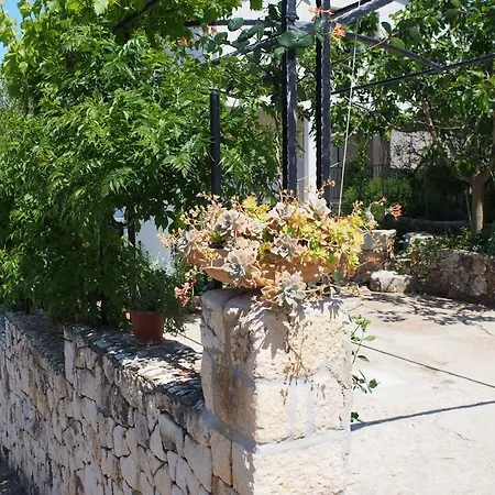 Nada Vinišće