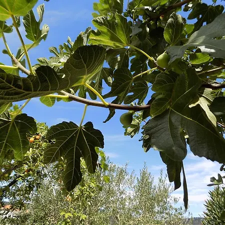 Nada With Garden, 80m From The Vakantiehuis *