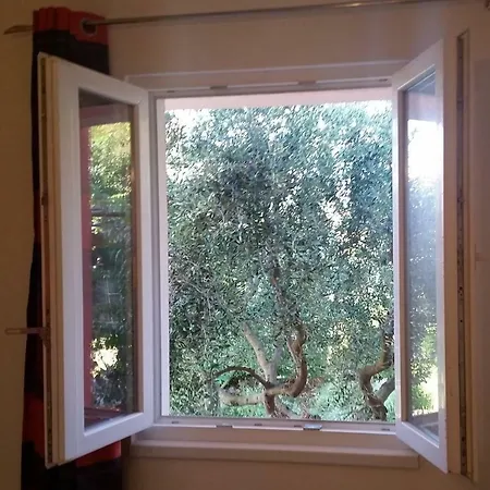 Nada With Garden, 80m From The *